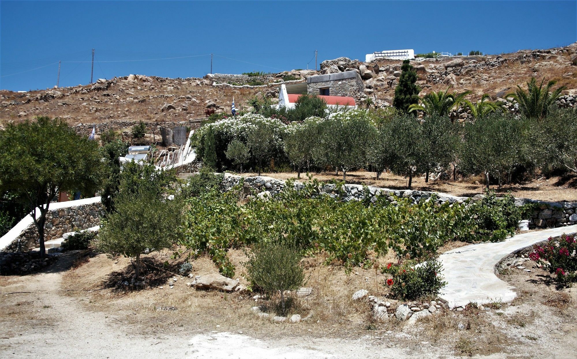 Mykonos Moussa Villa Agios Ioannis Diakoftis Bagian luar foto